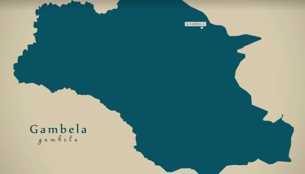 Gambella Tensions Rise After Assassination of City Police Chief, Raising Security Concerns