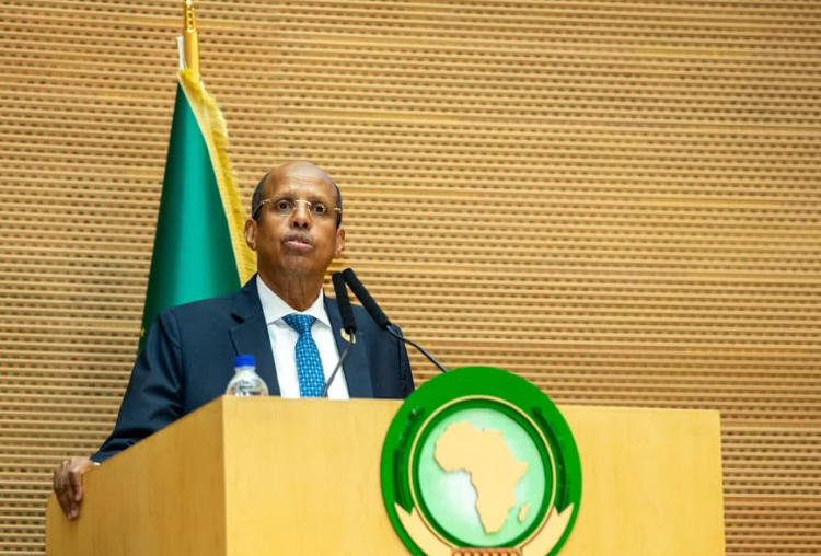 AUC Chairperson Calls for Accelerated Reforms, Peace and Development at AU Executive Council